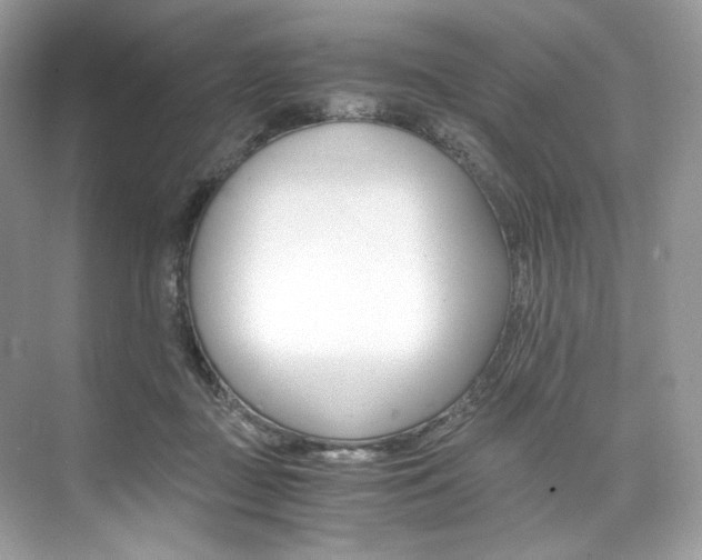 X0000073900363200608110942