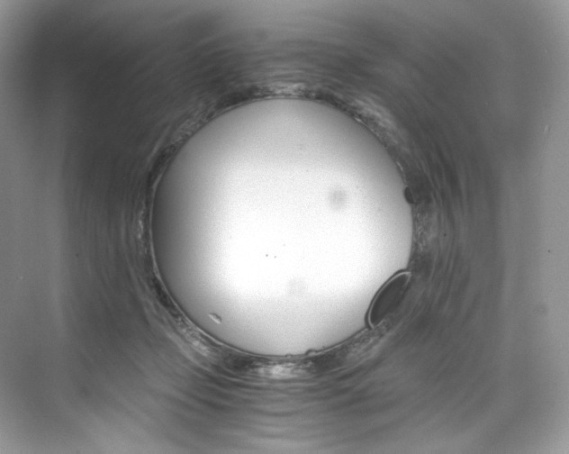 X0000073900365200608110942