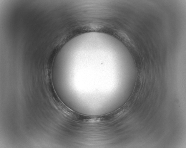 X0000073900366200608110942