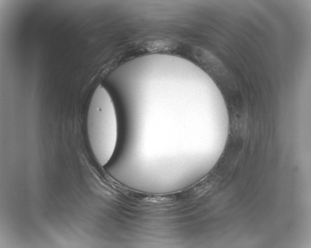 X0000073900367200608110942