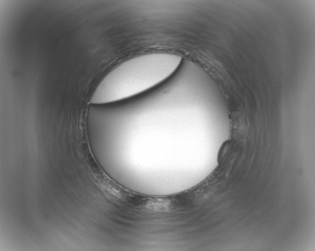 X0000073900369200608110942