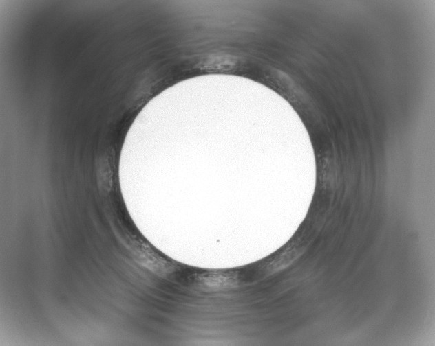 X0000073900370200608110942