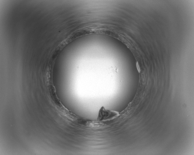 X0000073900372200608110942