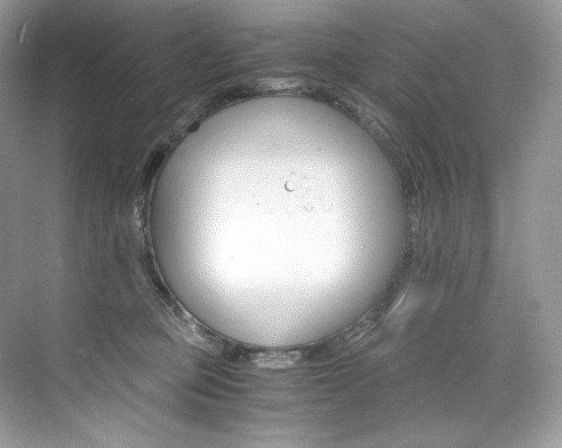 X0000073900373200608110942