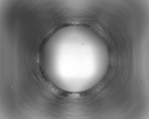 X0000073900374200608110942