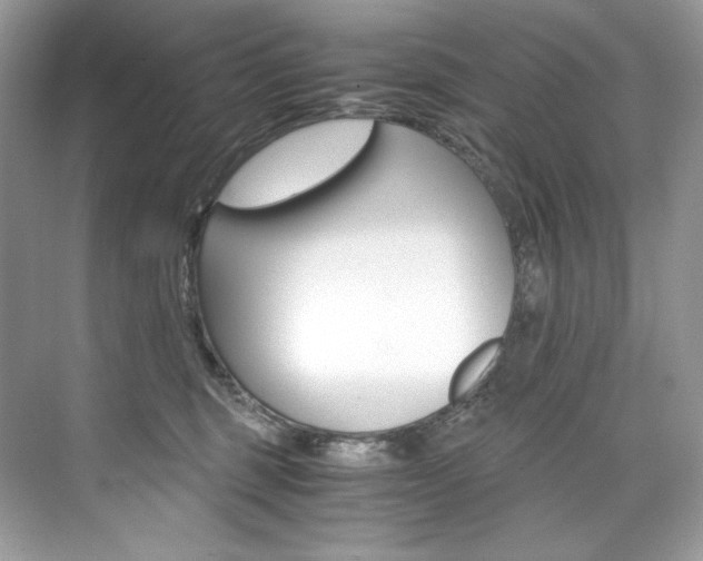 X0000073900375200608110942