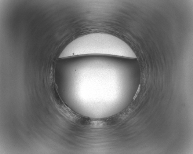 X0000073900376200608110942