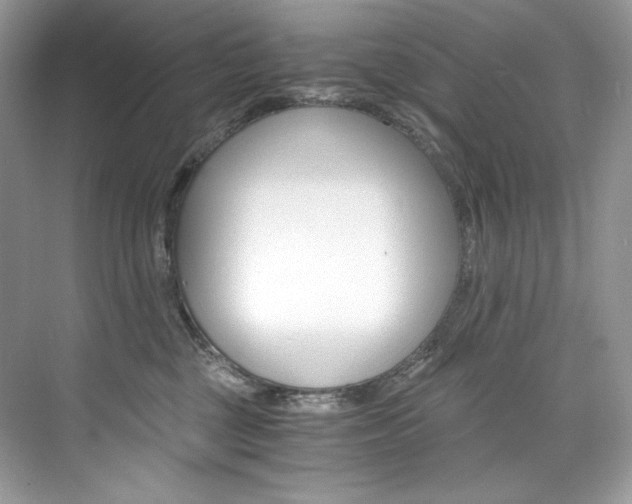 X0000073900377200608110942