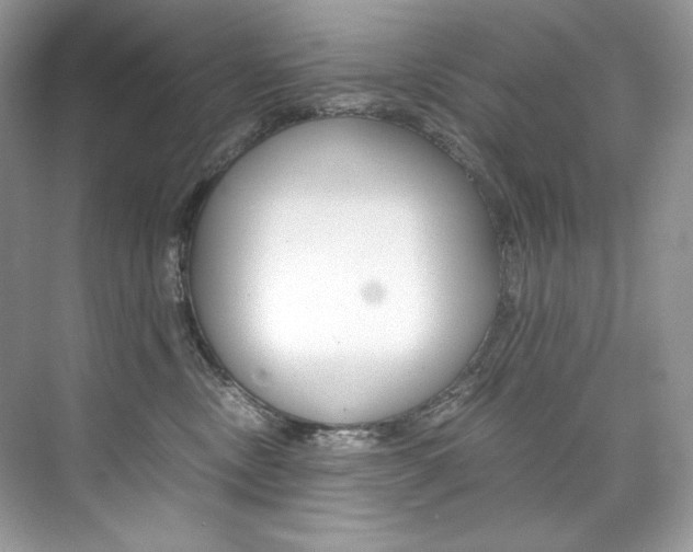 X0000073900378200608110942