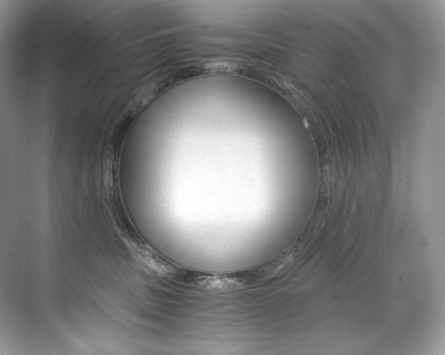 X0000073900379200608110942