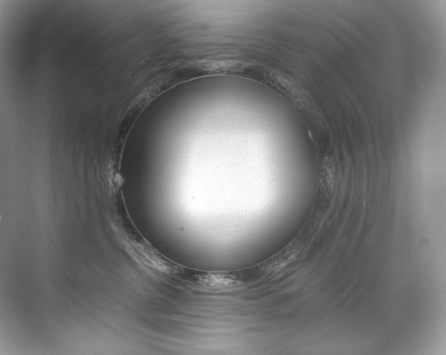 X0000073900380200608110942