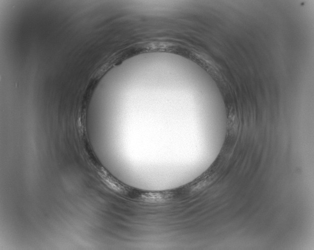 X0000073900381200608110942