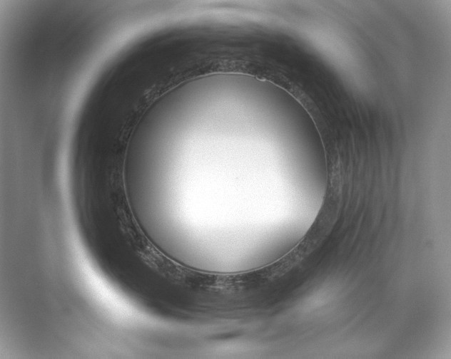 X0000073900383200608110942