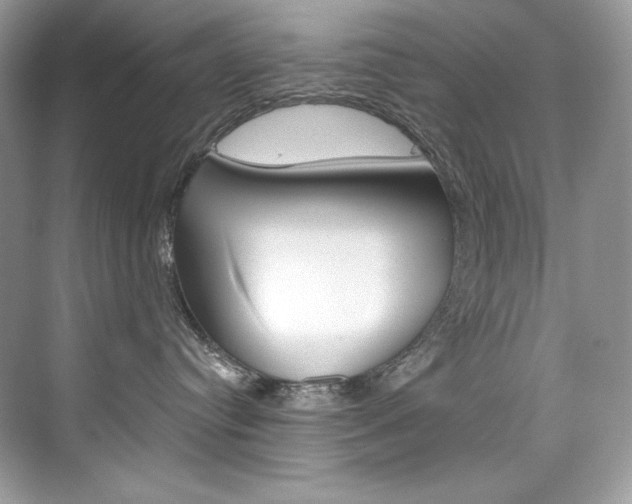 X0000073900384200608110942