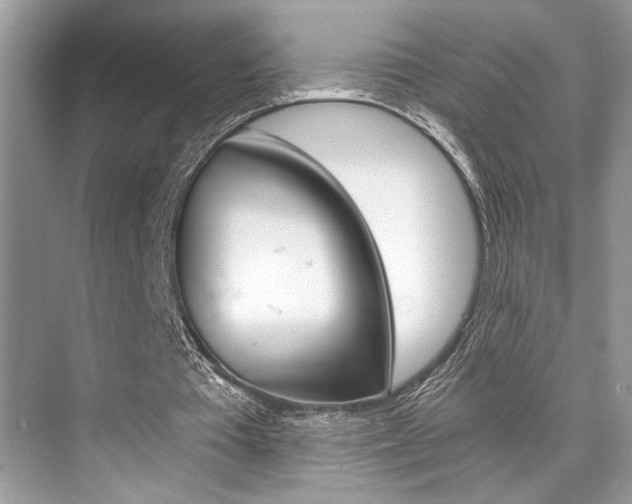 X0000073900385200608110941