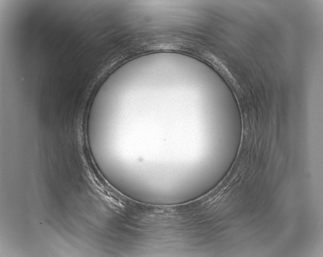 X0000073900386200608110941