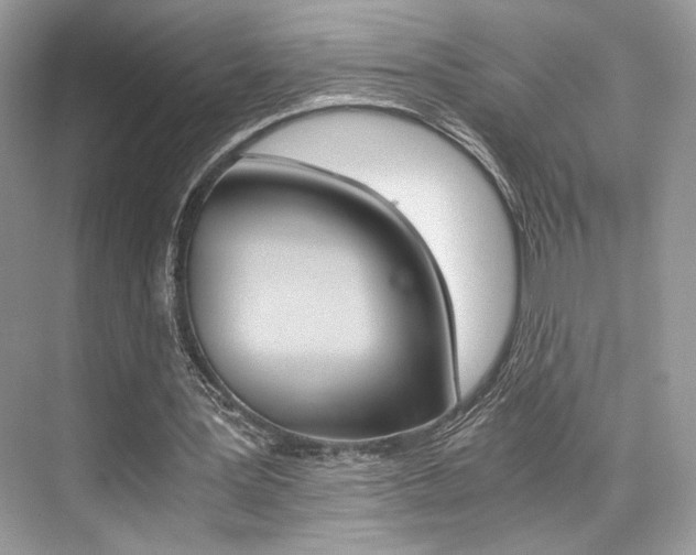 X0000073900387200608110941