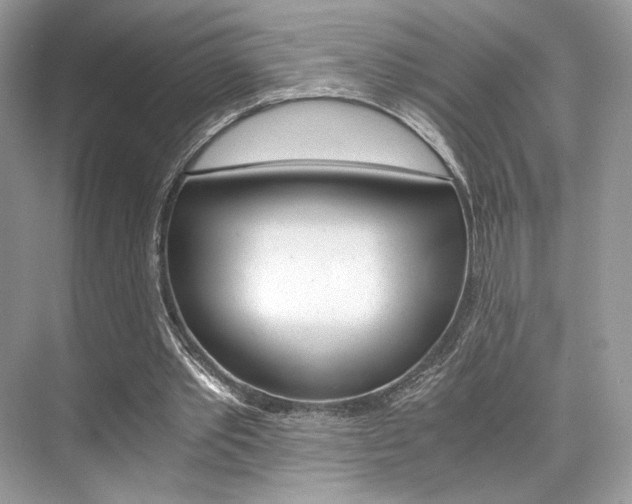 X0000073900389200608110941