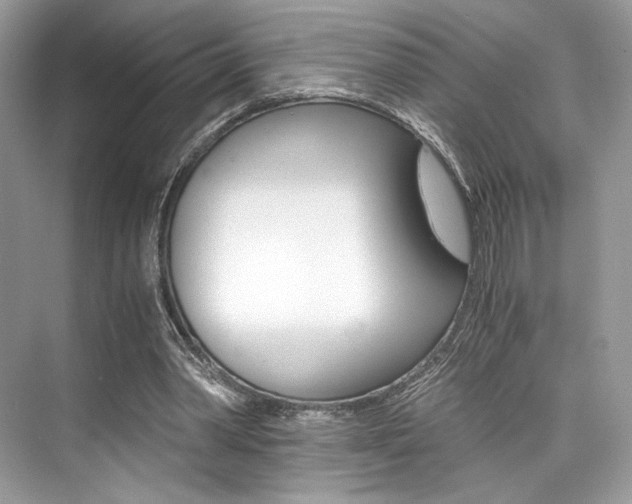 X0000073900390200608110941