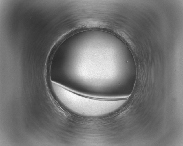 X0000073900391200608110941