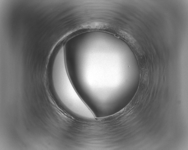 X0000073900392200608110941