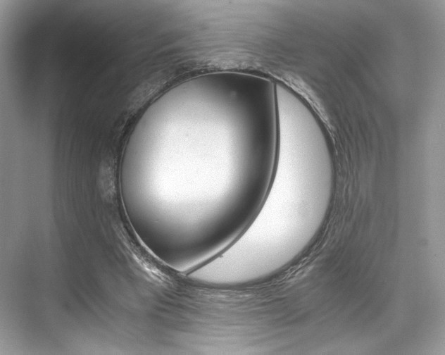 X0000073900393200608110941