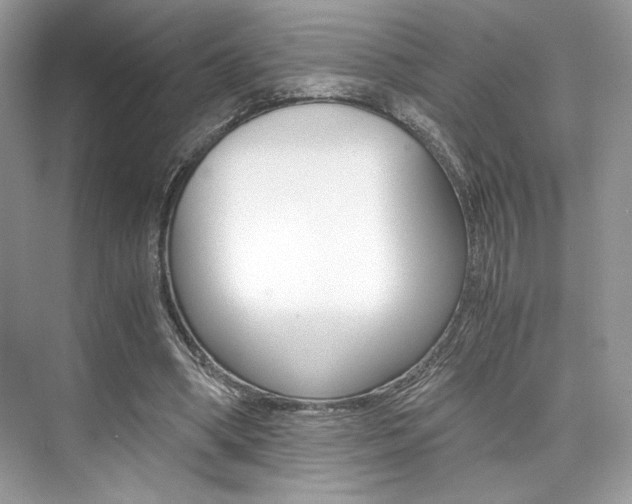 X0000073900394200608110941