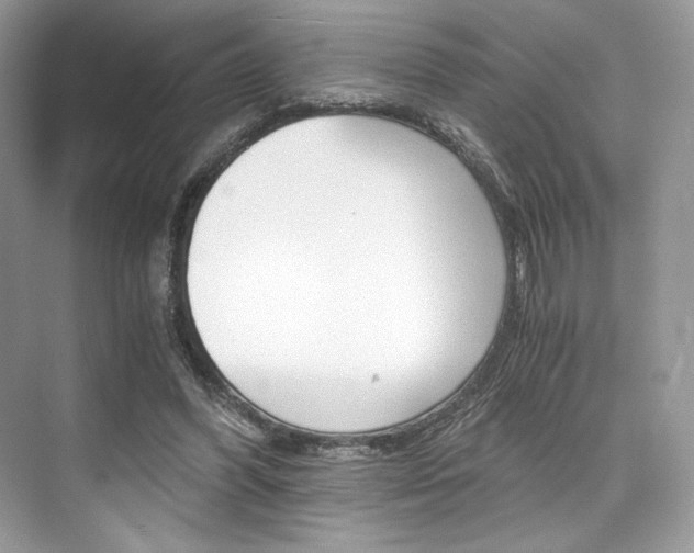 X0000073900396200608110941