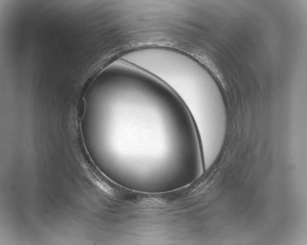 X0000073900397200608110941