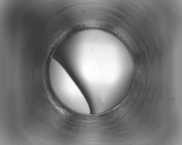 X0000073900398200608110941