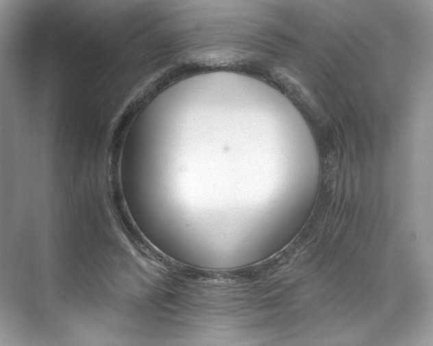 X0000073900400200608110941