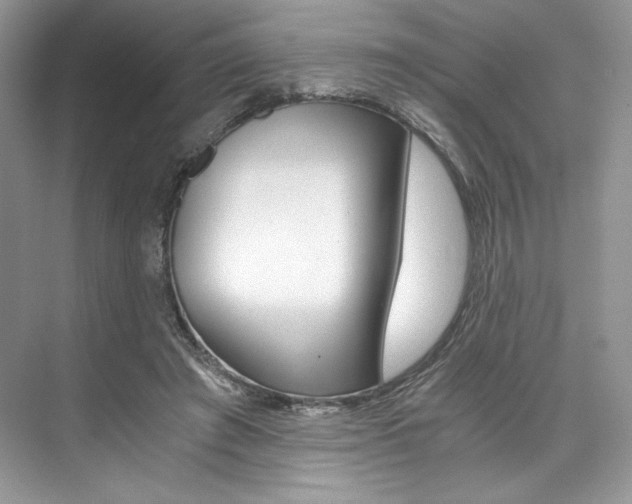 X0000073900401200608110941