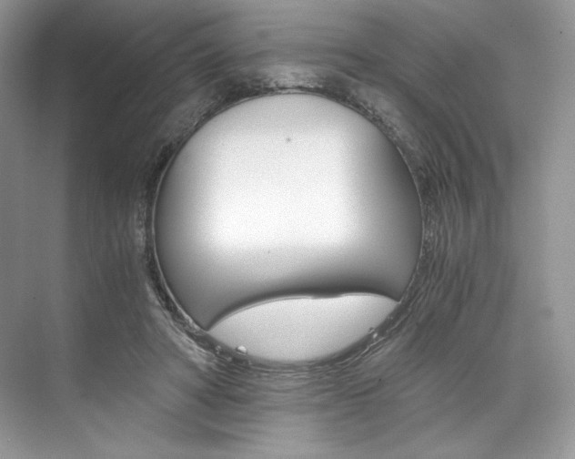 X0000073900402200608110941