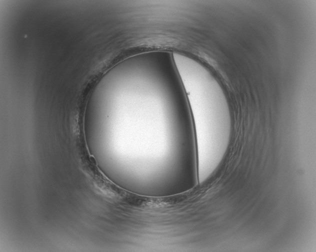 X0000073900403200608110941