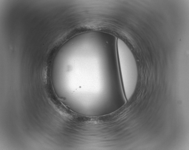 X0000073900404200608110941