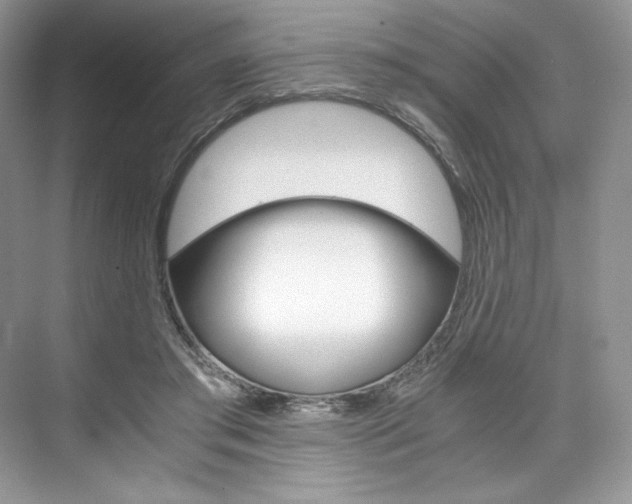 X0000073900405200608110941