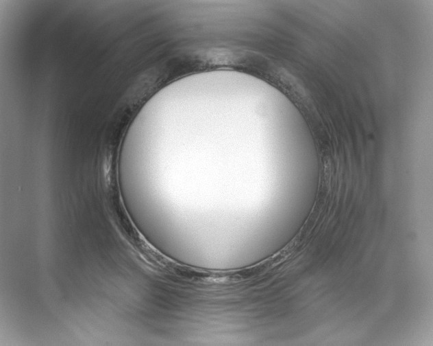 X0000073900406200608110941