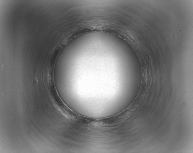 X0000073900408200608110941