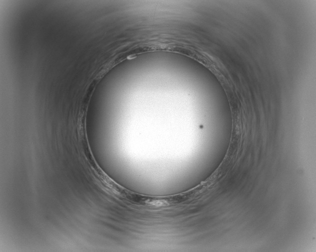 X0000073900409200608110941