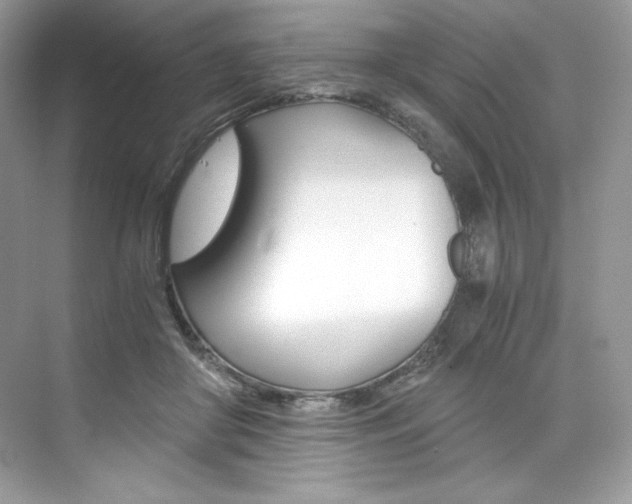 X0000073900410200608110941