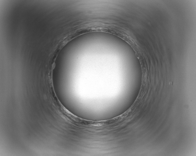 X0000073900411200608110941