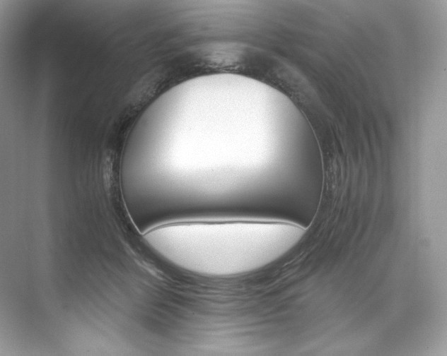 X0000073900412200608110941