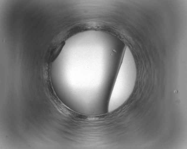 X0000073900413200608110941