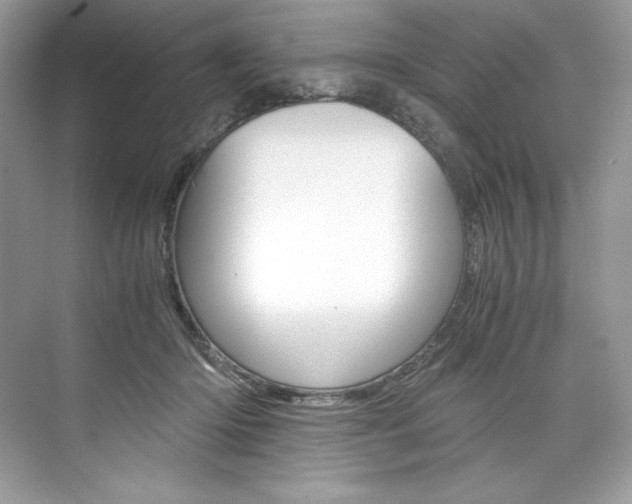 X0000073900414200608110941