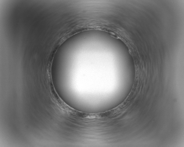 X0000073900415200608110941