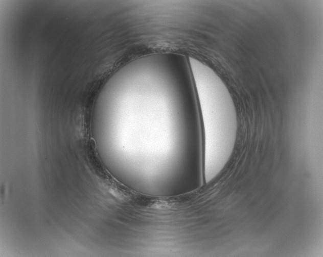 X0000073900416200608110941