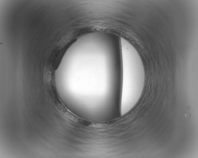 X0000073900417200608110941