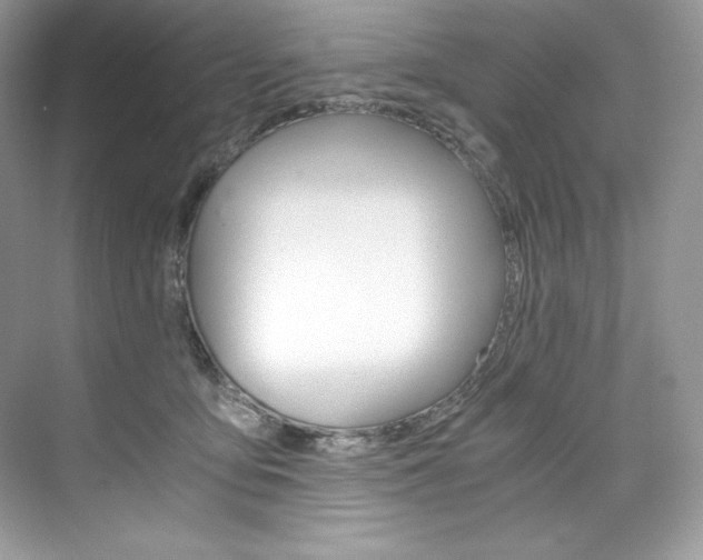 X0000073900419200608110940