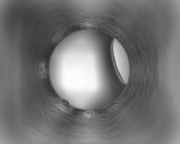 X0000073900420200608110940