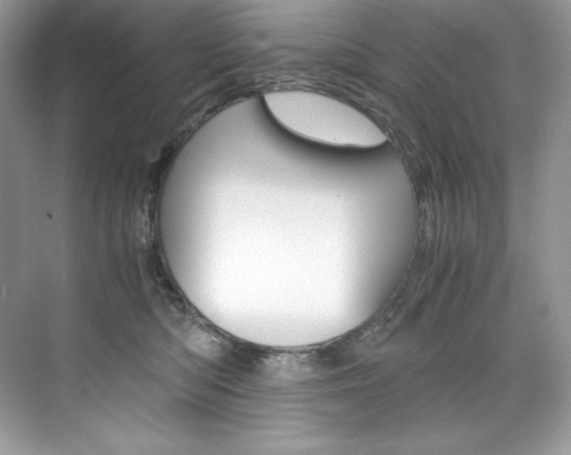 X0000073900422200608110940